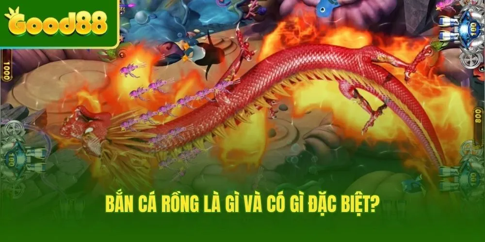 Bắn cá rồng – Khác biệt từ đồ họa đến cơ chế đổi thưởng