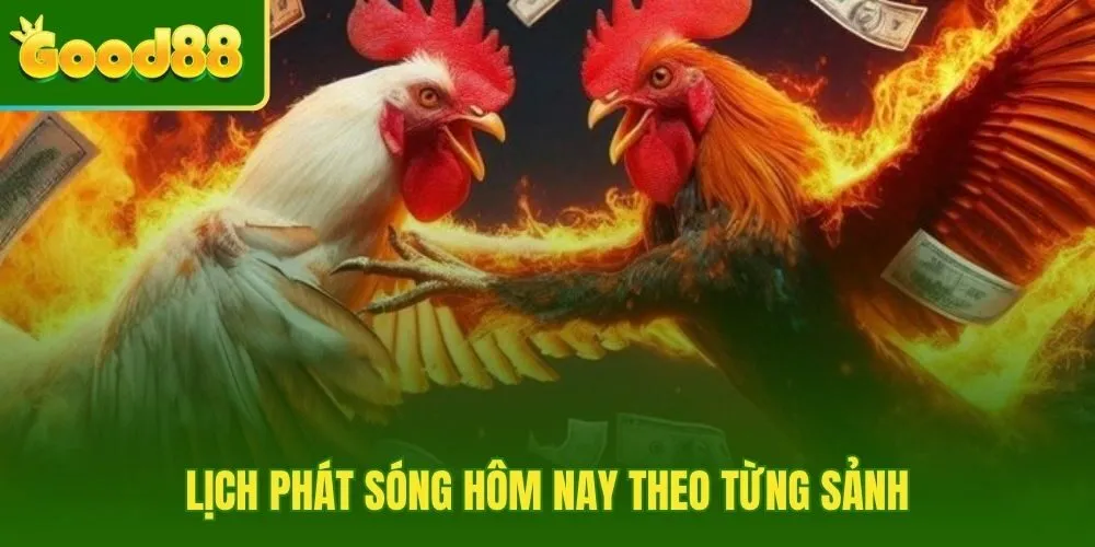 Lịch thi đấu đá gà Thomo theo từng sảnh với trạng thái cập nhật