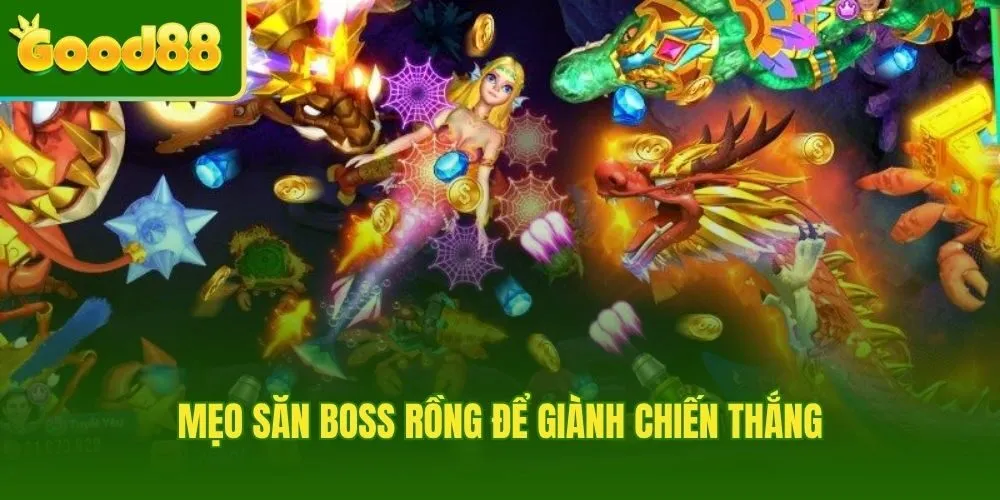 Mẹo săn boss rồng – Quản lý vốn và chọn đúng thời điểm