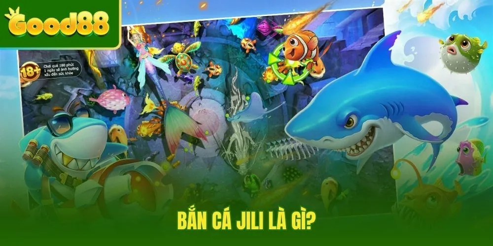 ban-ca-jili-la-gi ban-ca-jili-la-gi